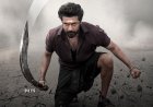 One week to go for the roar, the rage and the rampage.  Karuppu in SEVEN days