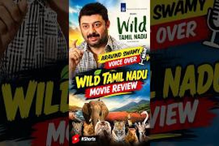Watch the review and share your thoughts in the comments